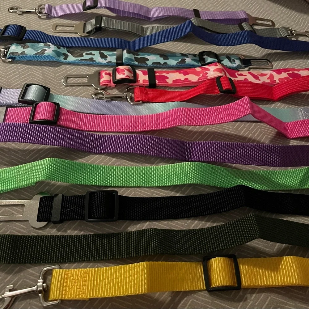 PET SEATBELT
